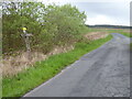 The Southern Upland Way near the B7027 junction in DG8 6RU