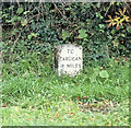 Old Milestone by the A475, Pren-gwyn, Llandysul Parish in SA44 4LP