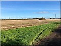 Crop Field and Pylons near Fen Lane Farm in NG24 3ND