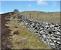 Drystone dyke with sheep damage in PH16 5LS