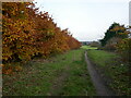 Path off Thoresby Avenue in NG17 7EB