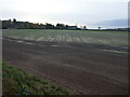 Prepared field looking towards Campfield Farm in NG15 9HD