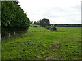 Grassland near Lower Catesby in Catesby