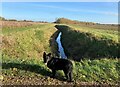 Footpath and Ditch near Fen Lane in NG24 3ND