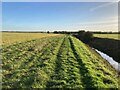 Footpath and Drain near Barnby in the Willows in NG24 2SA