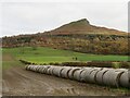 Muddy field below Roseberry Topping in TS9 6QT