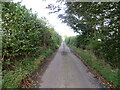 Hedge and tree-lined minor road in TD11 3PS