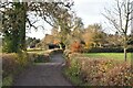 Autumn colours on the lane to Landford Wood in SP5 2ET