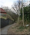 Footpath - Stoney Lane, near The Bay Horse in WF2 7PZ
