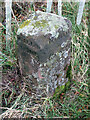 Old Boundary Marker half a mile east of Stockedalewath in CA5 7DR