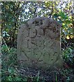 Forest of Dean Boundary Stone, Littledean in GL14 3LL