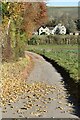 Bridleway towards Manor Farm, Stockton in BA12 0YA