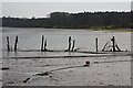 River Orwell fenceline in IP9 2AD