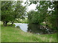 Pond on Kempsey Common in WR5 3QB