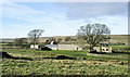 Farm building at Tute Hill in Bowes