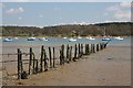 River Orwell - fence and boats in IP9 2AD
