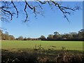 Three Cornered Field/Three Acres/Little Field in RH17 6AE