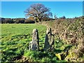 Redundant squeeze stile on the footpath to Hays Lane in Kirk Ireton