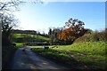 Road descending to Staindale Bridge in DL2 1PR