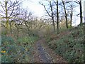 Track near Heywood's Farm in OL11 5UP