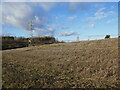 Stubble field and pylons in NG21 9BG