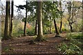 Eastern end of Rownhams Plantation in SO16 7JN
