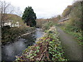 Llwybr glanafon / Riverside path in SA13 1YR