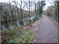 Llwybr glanafon / Riverside path in SA13 2EY