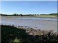 Acres of mud at Hook Reach in SA62 4LT
