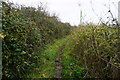 Bridleway towards Ebdon Farm in BS22 9YX