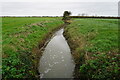 Northfield Rhyne near Ebdon Farm in BS22 9YX