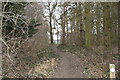Footpath between Oozes Wood and Home Wood in CM23 1HD