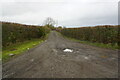 Track off Wick Road leading to Sluice Farm in BS22 7YQ