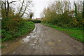 Track leading to Yew Tree Farm, Kingston Seymour in BS21 6XQ