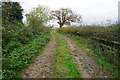 Path leading to Southfield Farm, Clevedon in BS21 5JJ