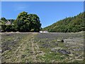The inlet near Ferry Hill in SA73 1PE