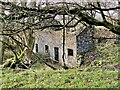Ruins of Pen y Wern Farm in SA9 2XY