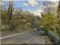Fallen Tree on the A6 Road in DE56 2AS