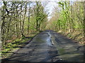 Dargate Road passing through Blean Wood in ME13 9HB