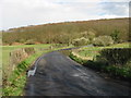Looking E along Dargate Road where it enters Blean Wood in ME13 9HB