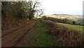 On Herefordshire Trail - track north from Garway Hill in HR2 8EY