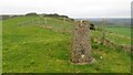 Trig Point at Giant's Grave, Oare, Pewsey in SN8 4HX