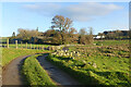 Track and pasture, Caldbeck in CA7 8LA