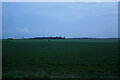 View south-east off Swaffham Heath Road, late afternoon in CB25 0LU