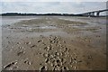 Pond Ooze, River Orwell in IP9 2AD