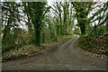 A track which leads to Robin Hill Farm & cottages in EX39 5EG