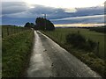 Minor road near South Craighead in AB42 5AL