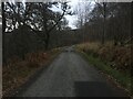 Minor road near Tilliefoure in AB51 7JN