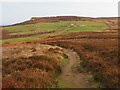 Cleveland Way at Black Nab in TS14 8ES