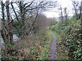 Llwybr glanafon / Riverside path in SA12 9ES